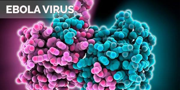 Ebola Virus Disease Alert