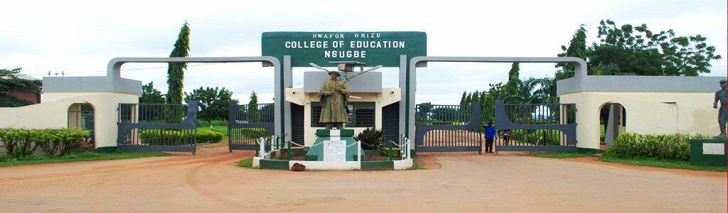 Nwafor Orizu College of Education Nsugbe school fees