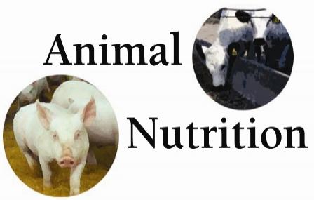JAMB Subject Combinations for Animal Nutrition