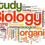 JAMB Syllabus for Biology