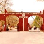 FCE (Technical) Gombe Admission List 2023/2024 | NCE 1st Batch