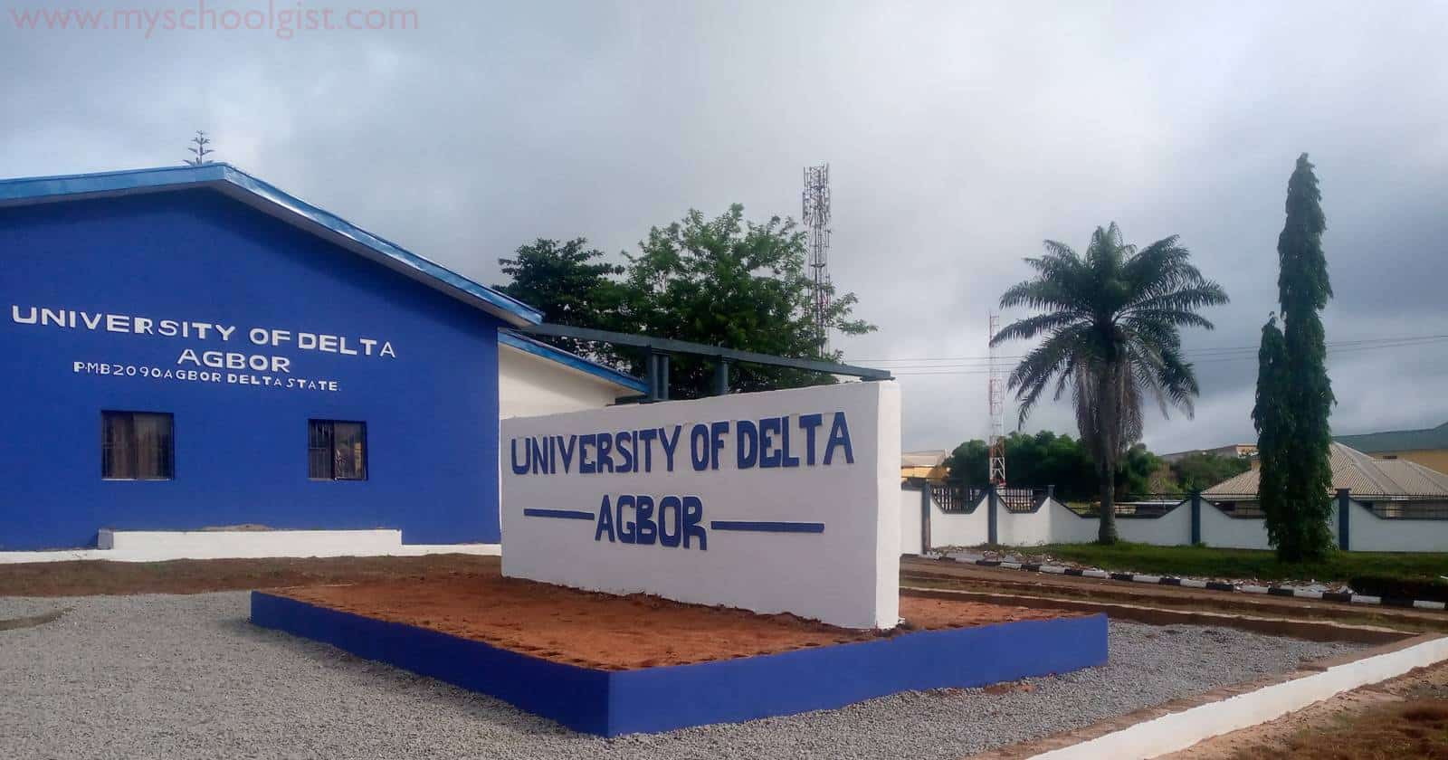 University of Delta Diploma Admission Form