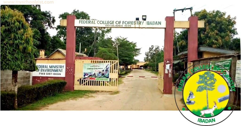 FCF Ibadan Admission Form 2024/2025 | ND & HND | MySchoolGist