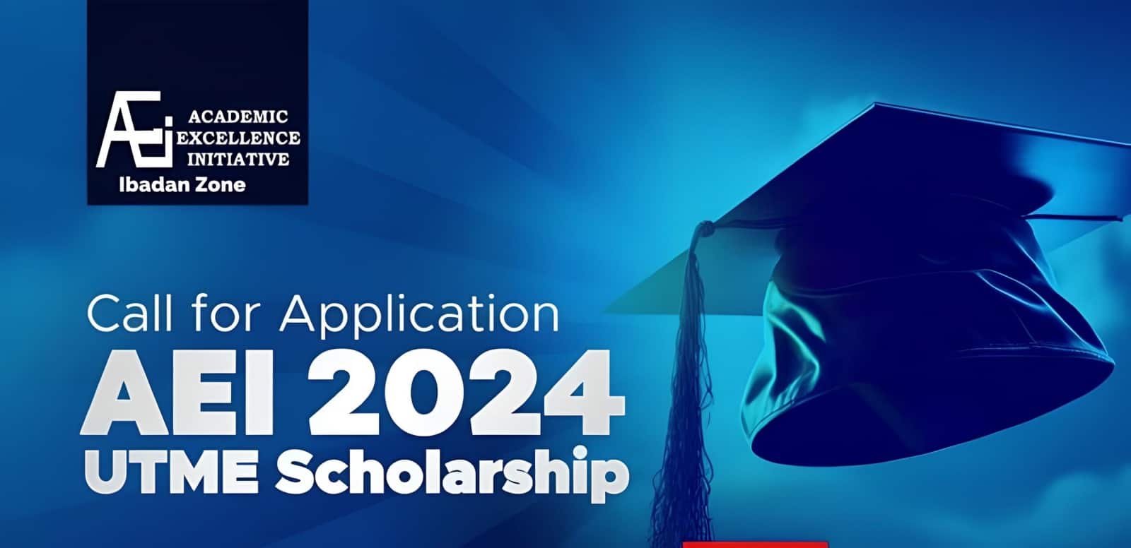 Academic Excellence Initiative (AEI) Scholarship Application