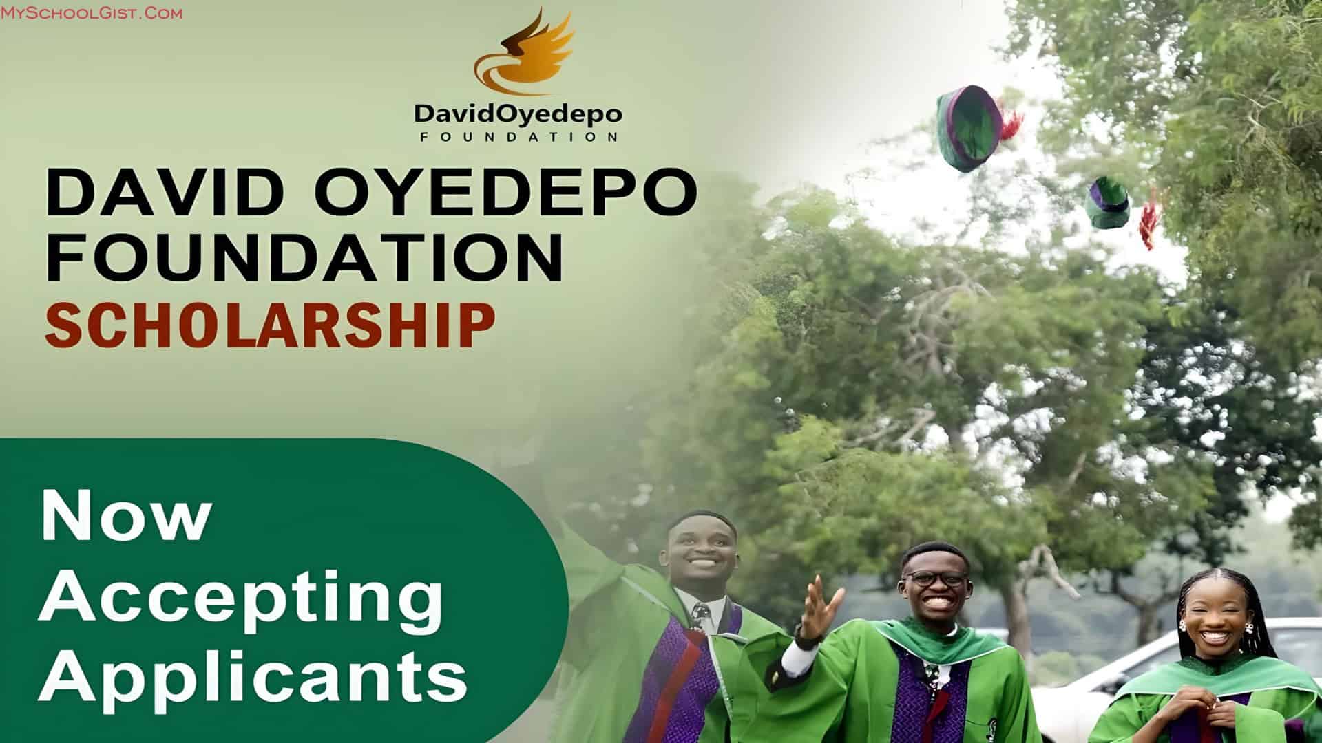 David Oyedepo Foundation Scholarship Programme
