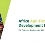 Africa Agri-Food Development Programme Grants 2024