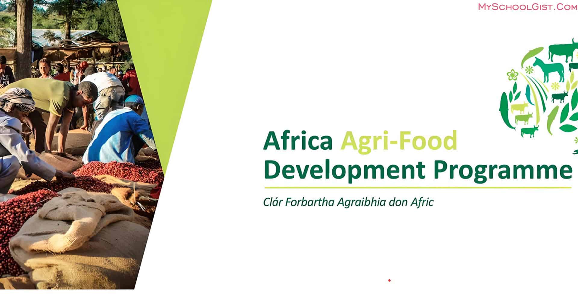 Africa Agri-Food Development Programme (AADP)