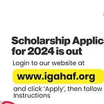 IG Aguowo Health and Academic Foundation Scholarship 2024