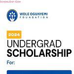 Apply for Wole Ogunyemi Scholarship 2024