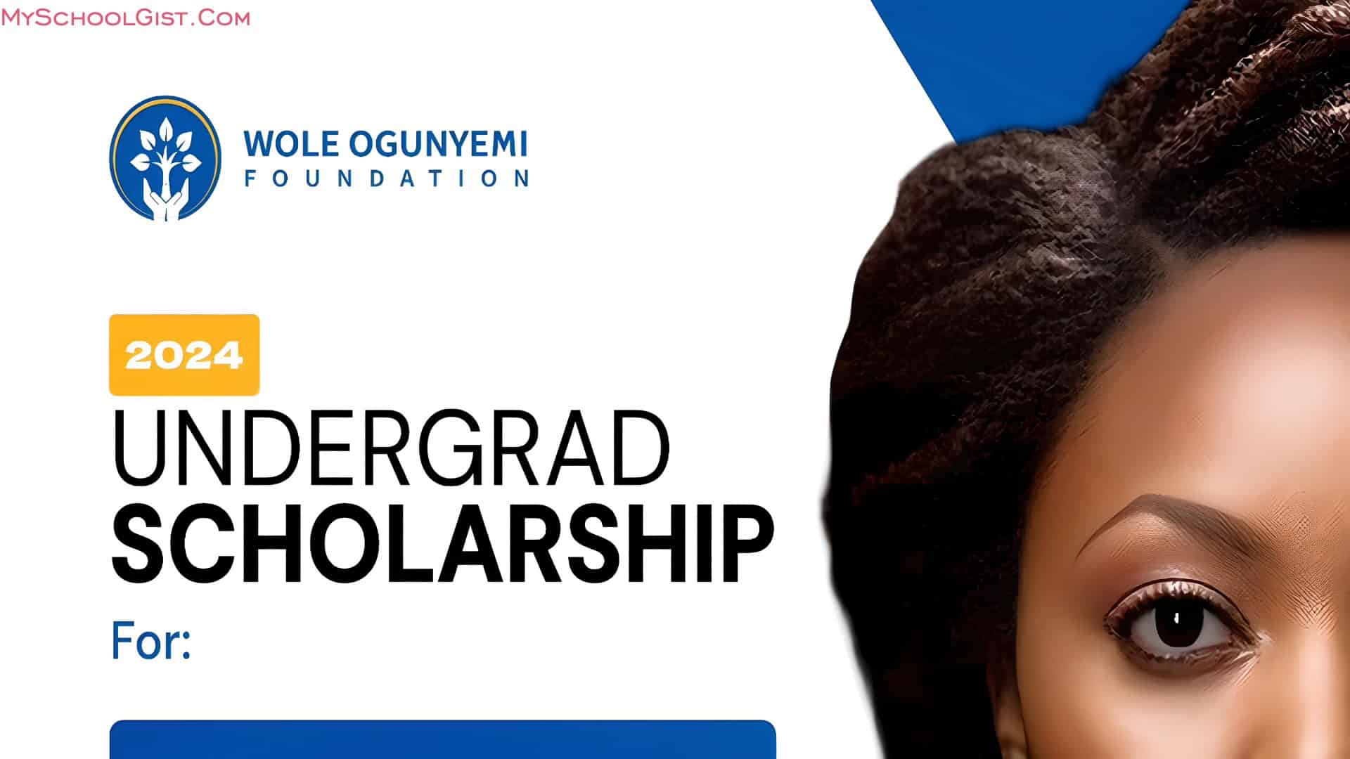 Wole Ogunyemi Foundation Undergraduate Scholarship